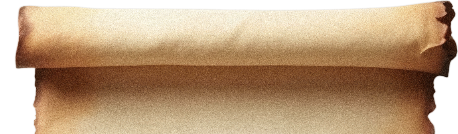 paper roll header